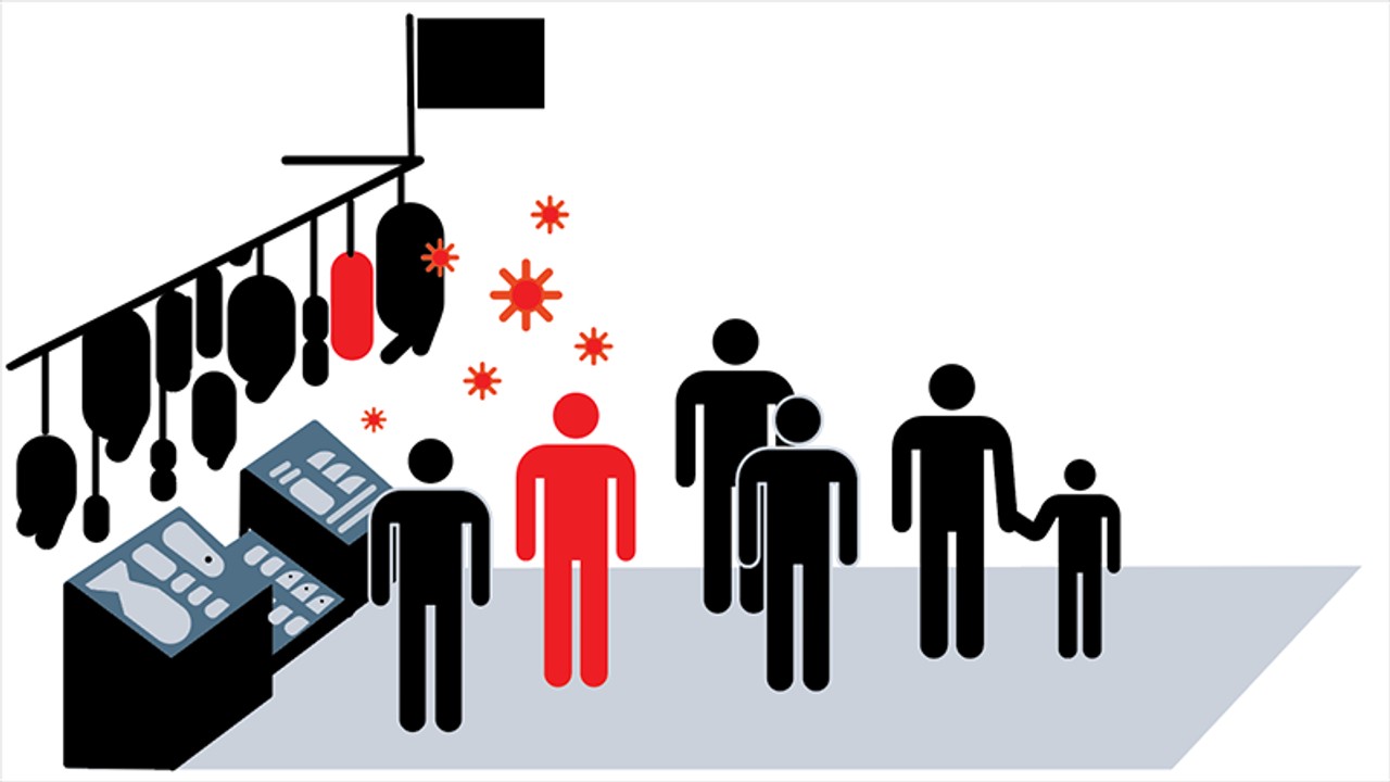 Filyasyon nedir? Filyasyon ne demek? İşte kelime anlamı