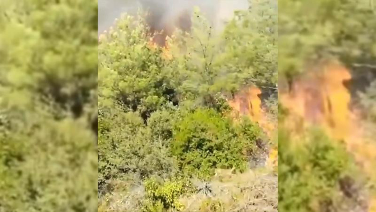 Hatay'daki yangından korunmaya çalışan bir karacanın kaçış anı