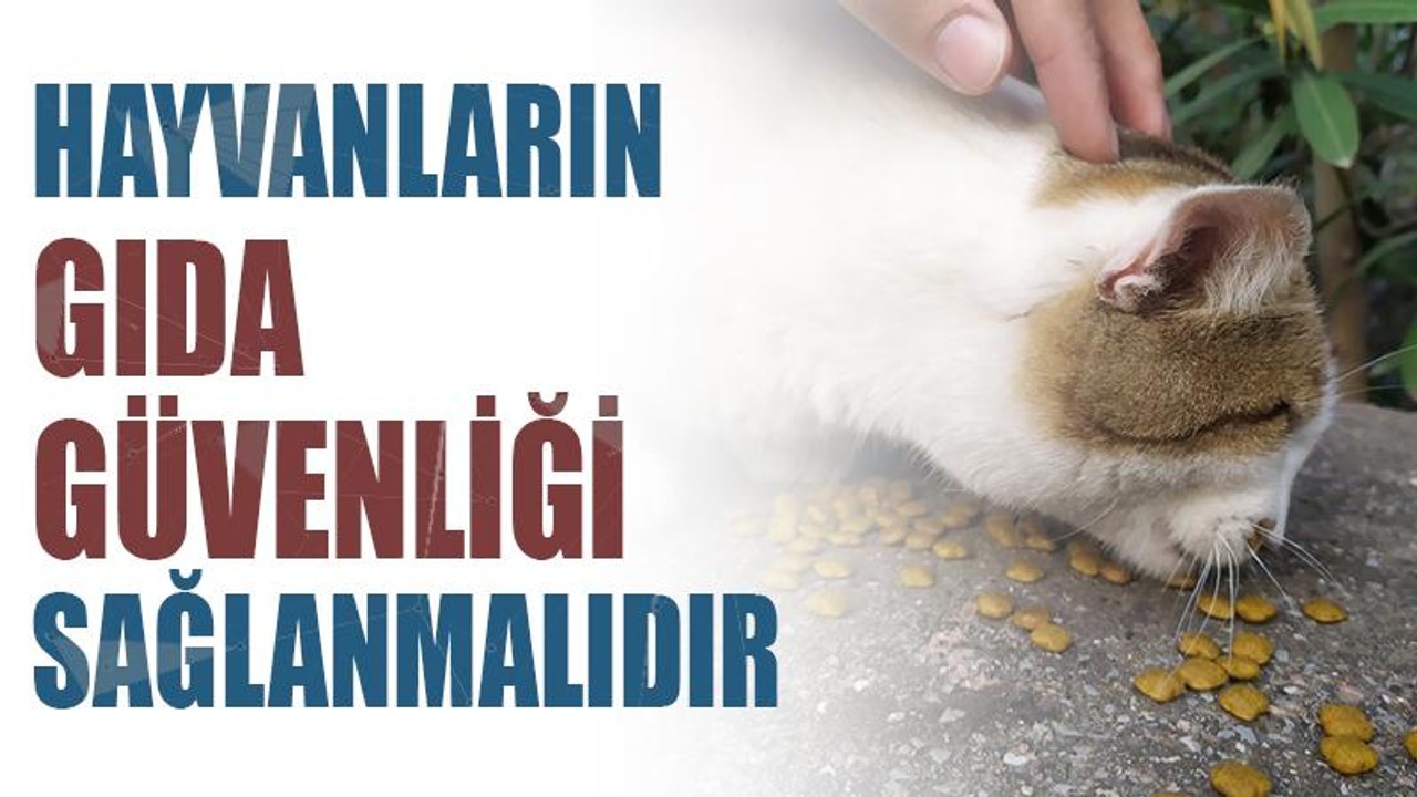 Hayvanların gıda güvenliği sağlanmalıdır