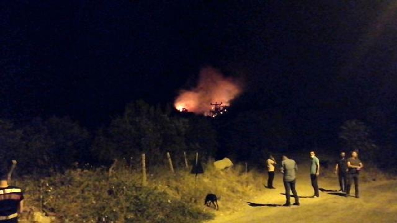 Manisa'nın Soma ilçesinde yangın