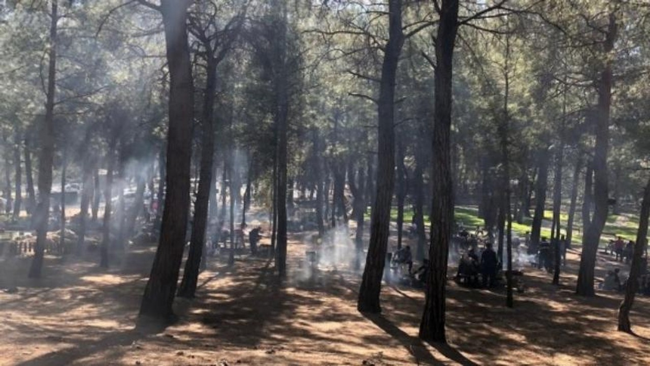 Gaziantep'te ormanlara giriş kısıtlaması uzatıldı