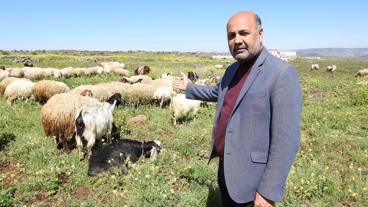 Üretici yem alamazken meralar satılıyor