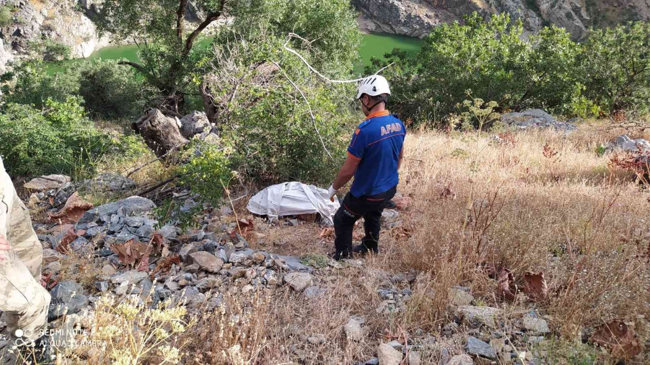 Araç uçuruma düştü: Sürücü olay yerinde yaşamını yitirdi