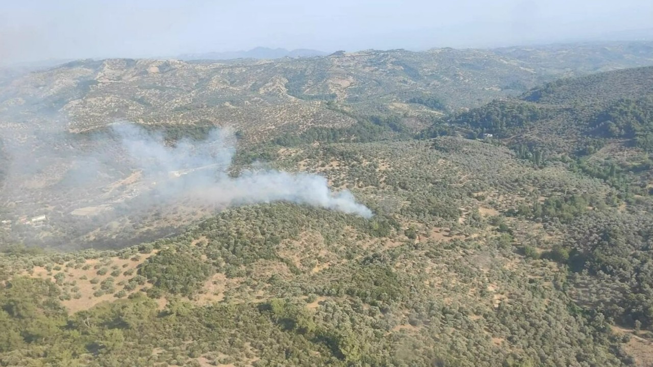 Aydın'da orman yangını