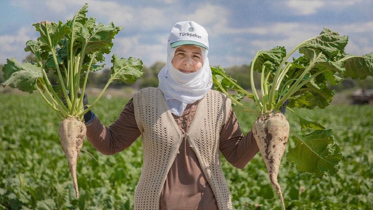 Şeker fabrikalarının makineleri hazır