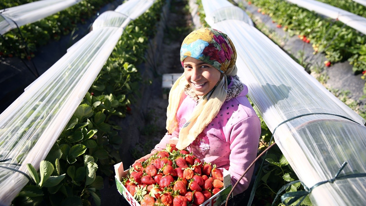 Sebze fiyatları yüzde 120 arttı