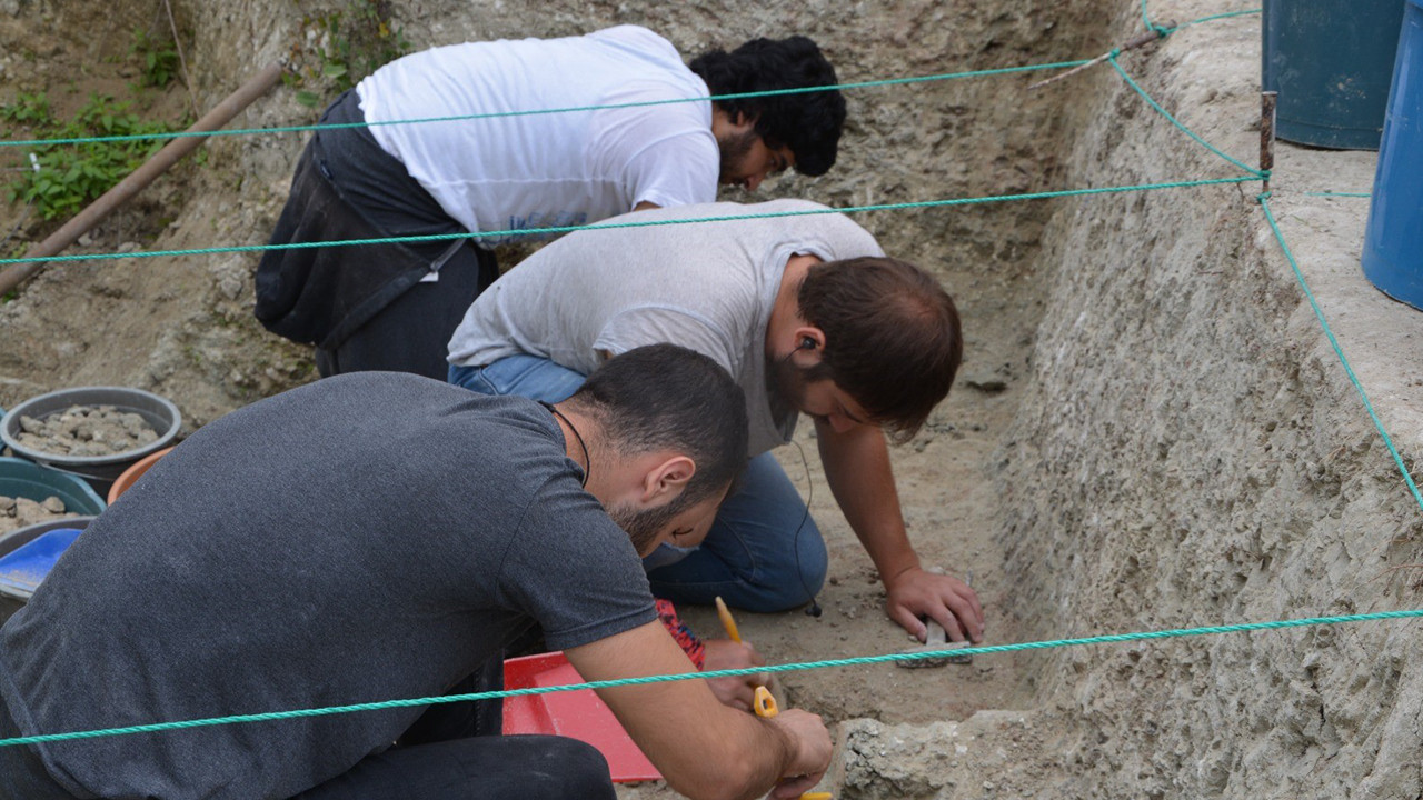 Paşalar Fosil Yatağı: Anadolu'nun 15 Milyon Yıllık Geçmişi