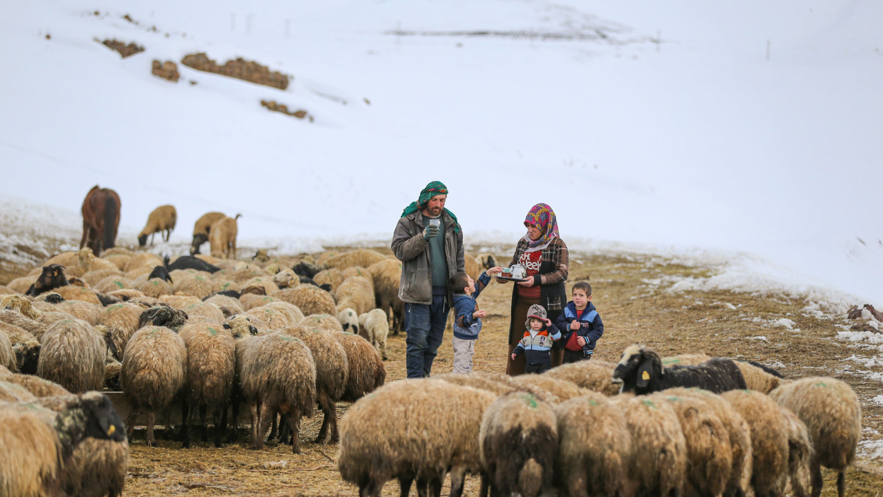 Köylerini hayvanları için terk etmiyorlar