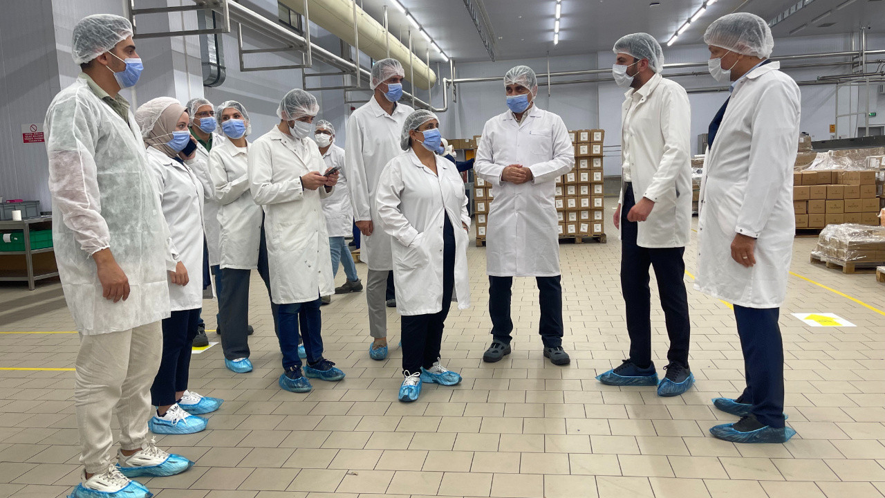 Krizi atlattı ihracata odaklandı! Patiswiss markası son durum! Patiswiss markası üretime devam ediyor mu?