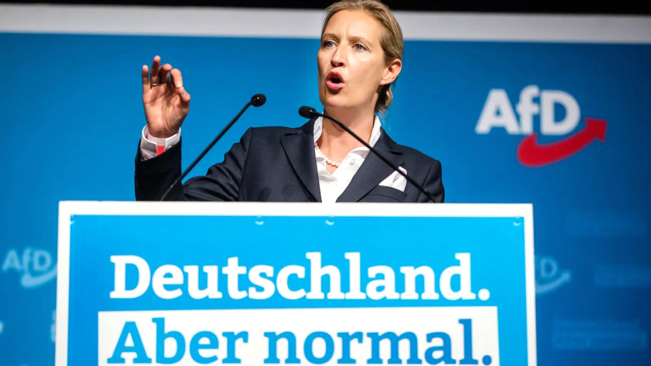 Almanya seçimlere gidiyor – 2: AfD programı