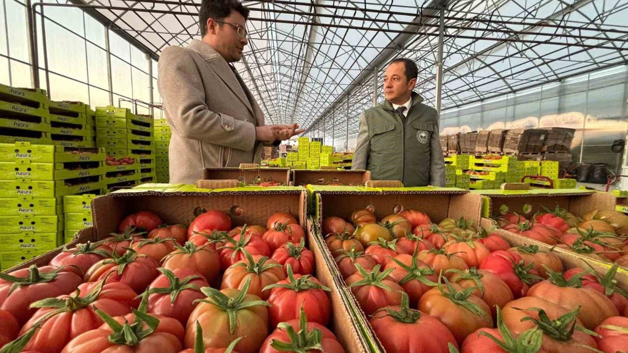 Erzincan’da üretilip yurt dışına gönderiliyor