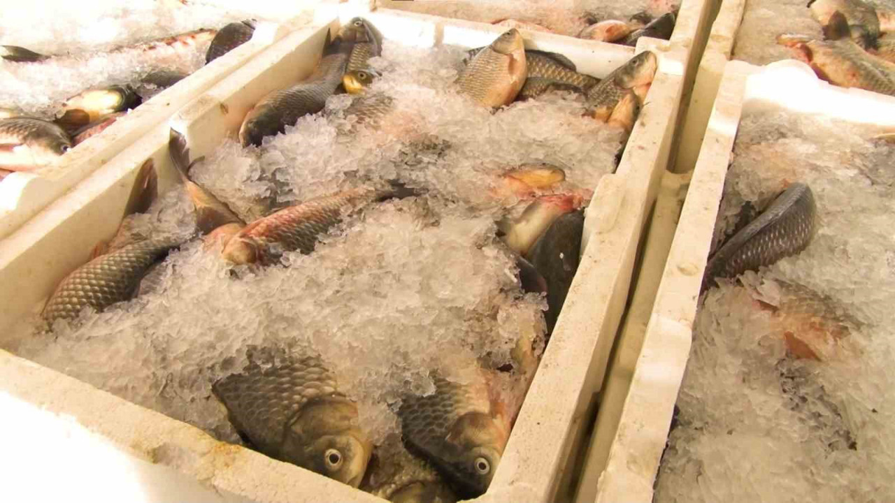 Denizi olmayan Ankara'da üretiliyor! Orta Doğu ülkelerine gönderiliyor