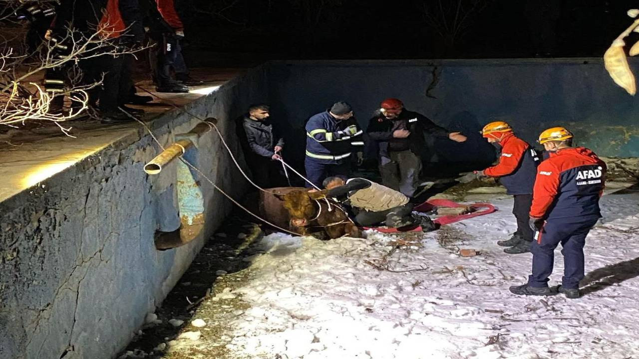 Sahibinden kaçıp boş havuza düştü! AFAD ve itfaiye ekipleri firari ineği kurtardı