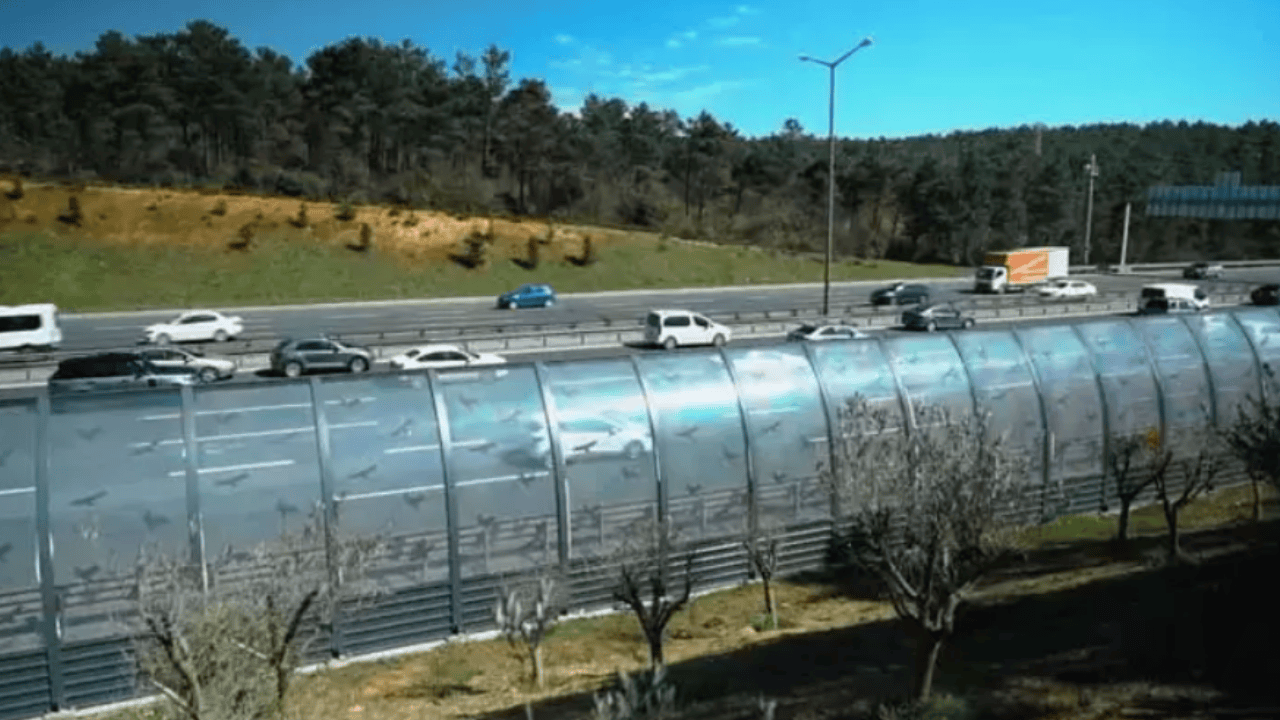 Pilot illerde hayata geçirildi: Şehirlerde gürültü kirliliğine 'bariyer' önlemi