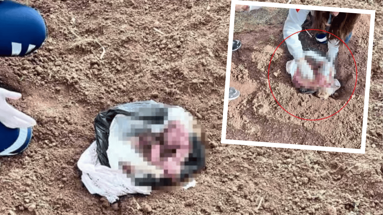 Şırnak'ta tüyler ürperten cinayet! Bebeği öldürüp atan kişinin annesi olduğu ortaya çıktı