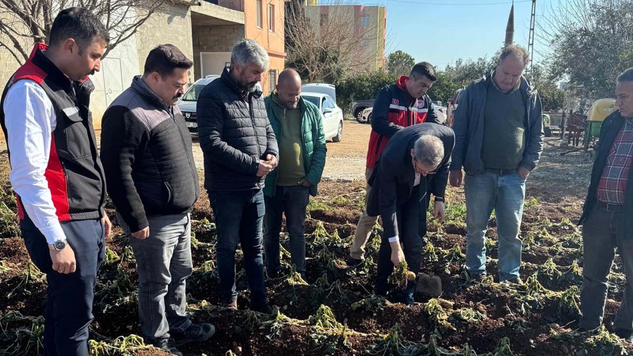 ‘Tarım sigortasını yaptırın’