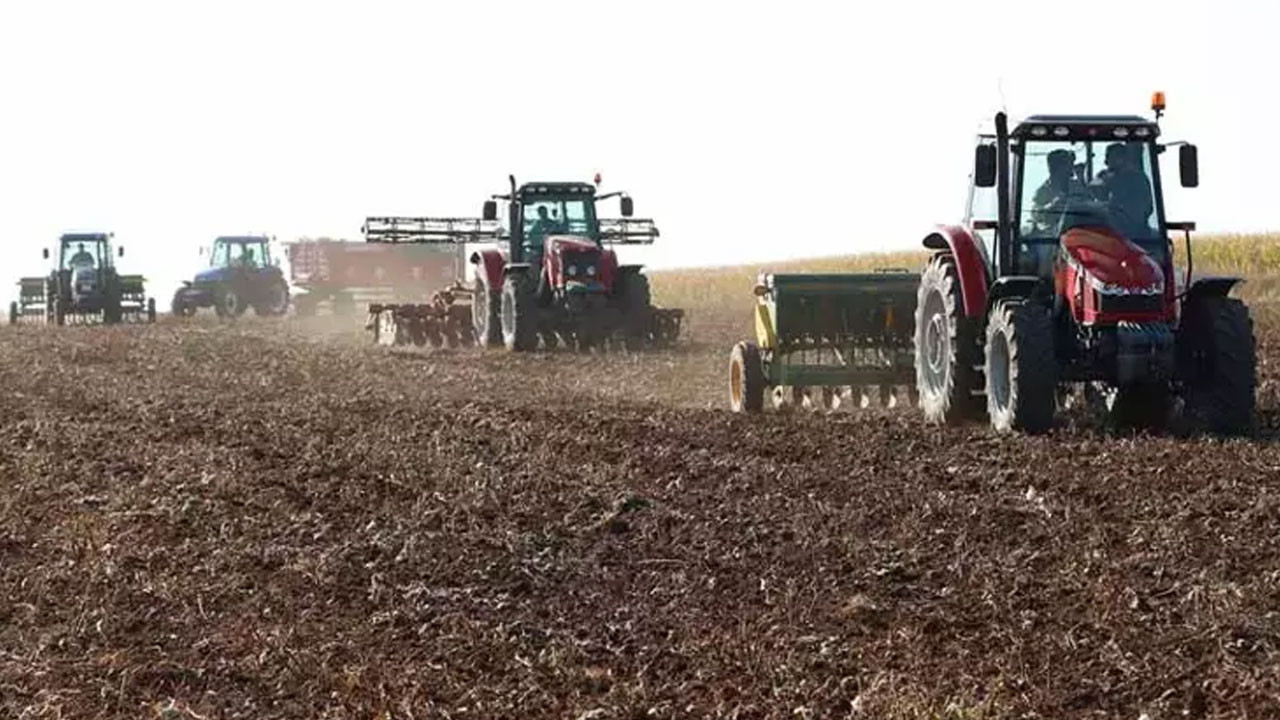 Mardin'de 3 milyon dönüm alana ekildi! 'Dünyanın en kalitelisini üretiyoruz'
