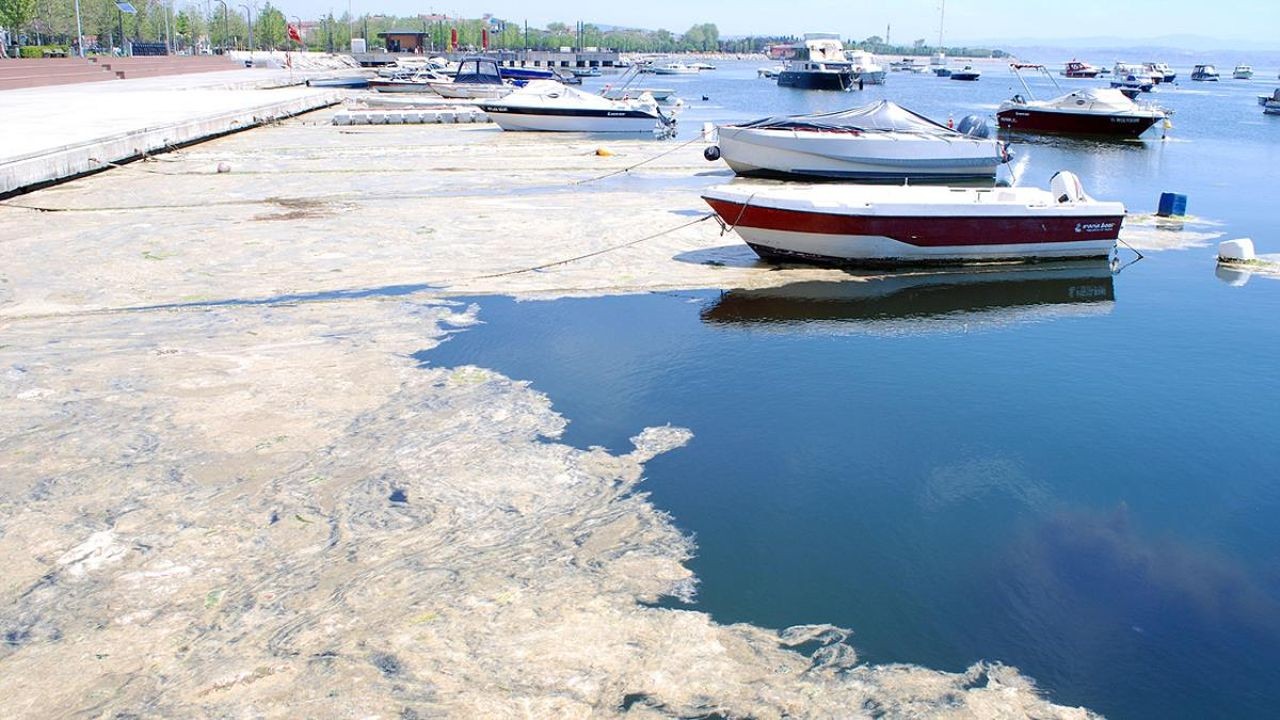 Marmara Denizi'nde tehlike: Yüzeye yaklaşıyor