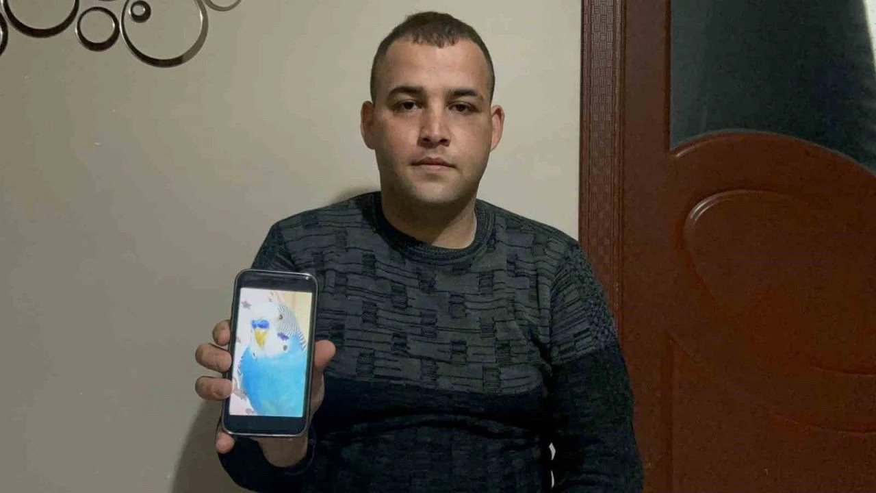 Bulana 20 bin lira verilecek! İskenderunlular dikkat