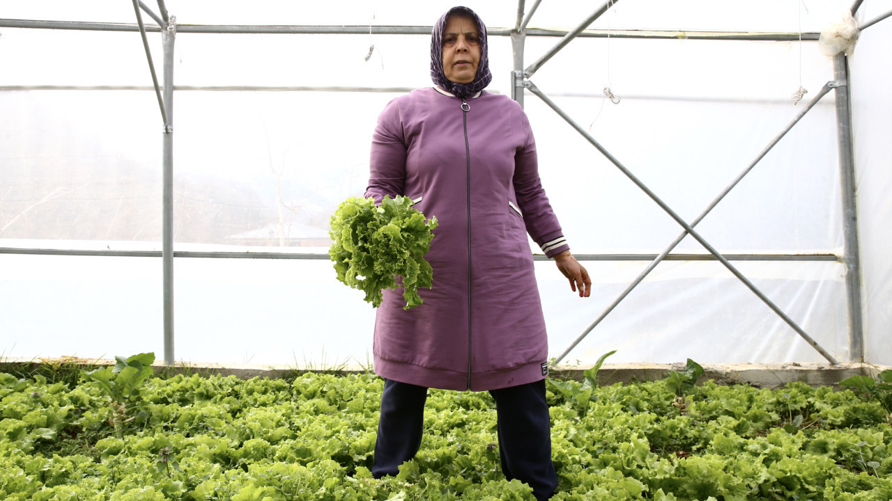 İstanbul'dan gelip Giresun'da kurdu! Devlet desteğiyle bugünlere geldi