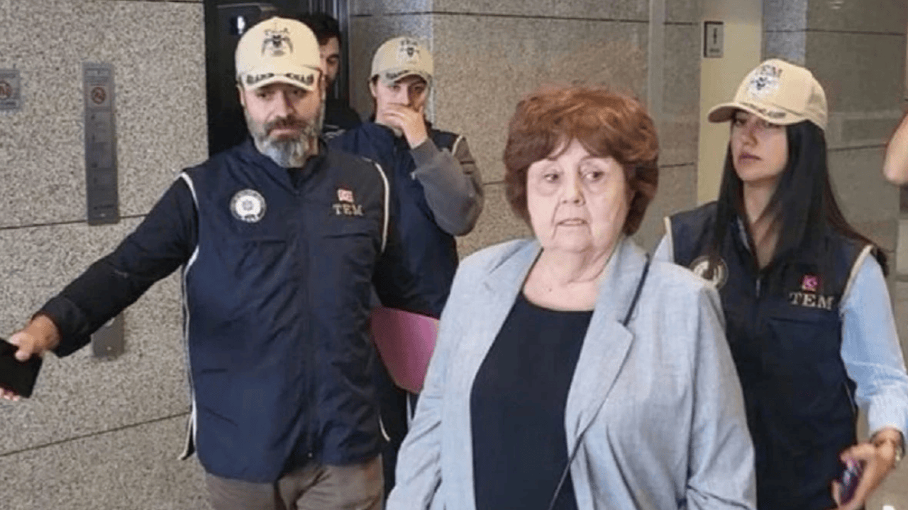 Ayşenur Arslan hakim karşısına çıktı, Ayşenur Arslan'a hapis istemi, Ayşenur Arslan ne dedi?