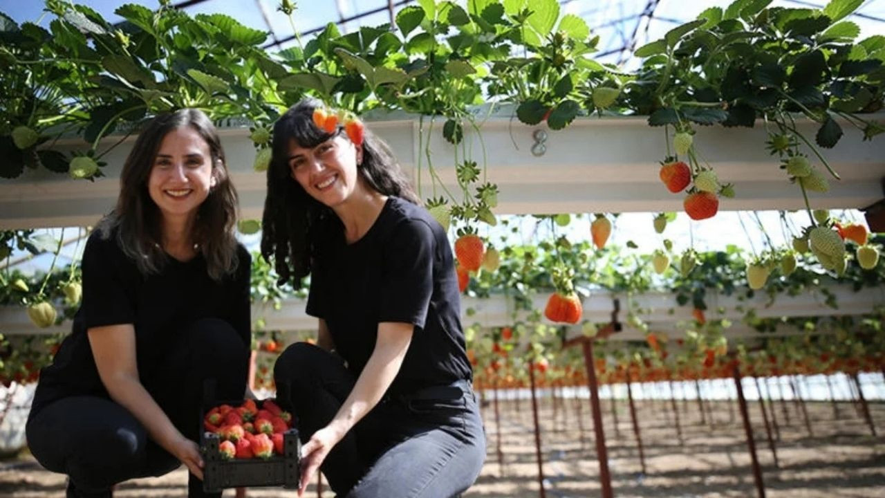 Antalya’da iki kadın işini bıraktı! Herkesin deniz girdiği yerde onlar bakın ne üretti