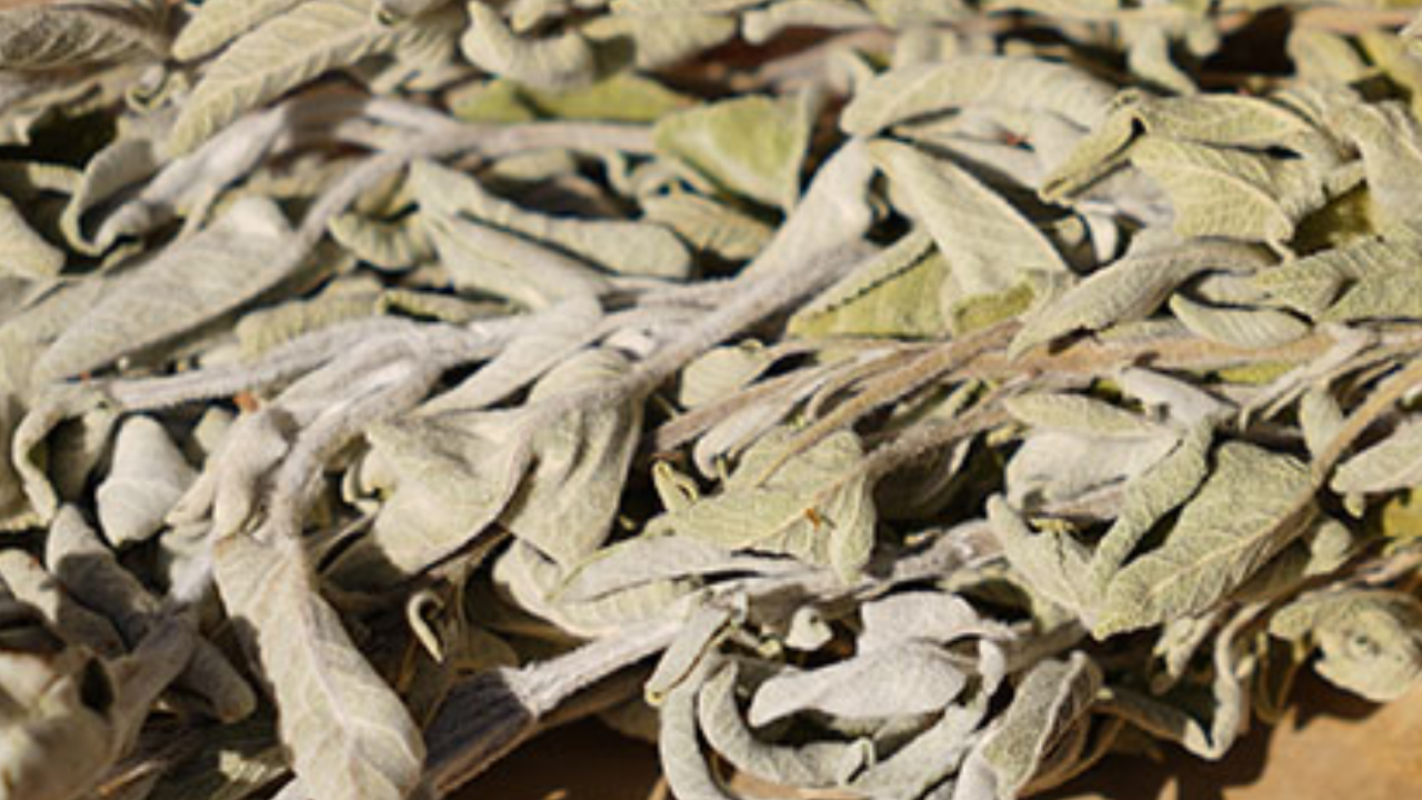 İshali bir çırpıda kesiyor! Her evde bulunan doğal ilaç...