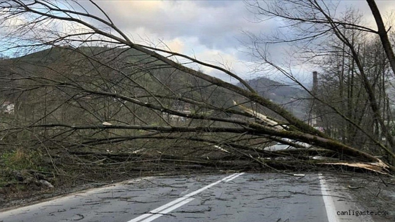 Kayseri'ye fırtına uyarısı: Saatte 50-80 km arası...