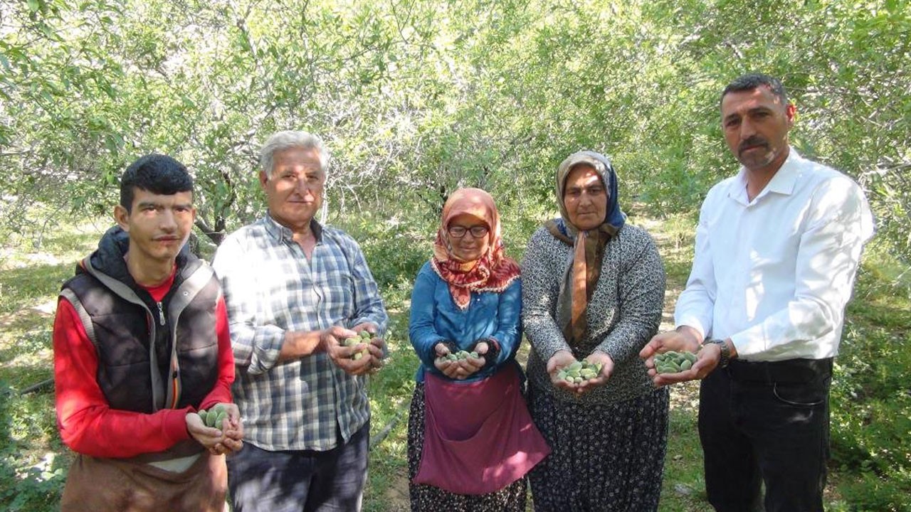 Mersin'de üretiliyor! Kilosu 200 TL'den kapış kapış satılıyor! Mersin haberleri, Silifke haberleri