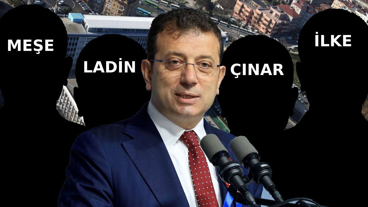 İBB soruşturmasındaki gizlik tanıklar ortaya çıktı: Meşe, Ladin, Çınar ve İlke!