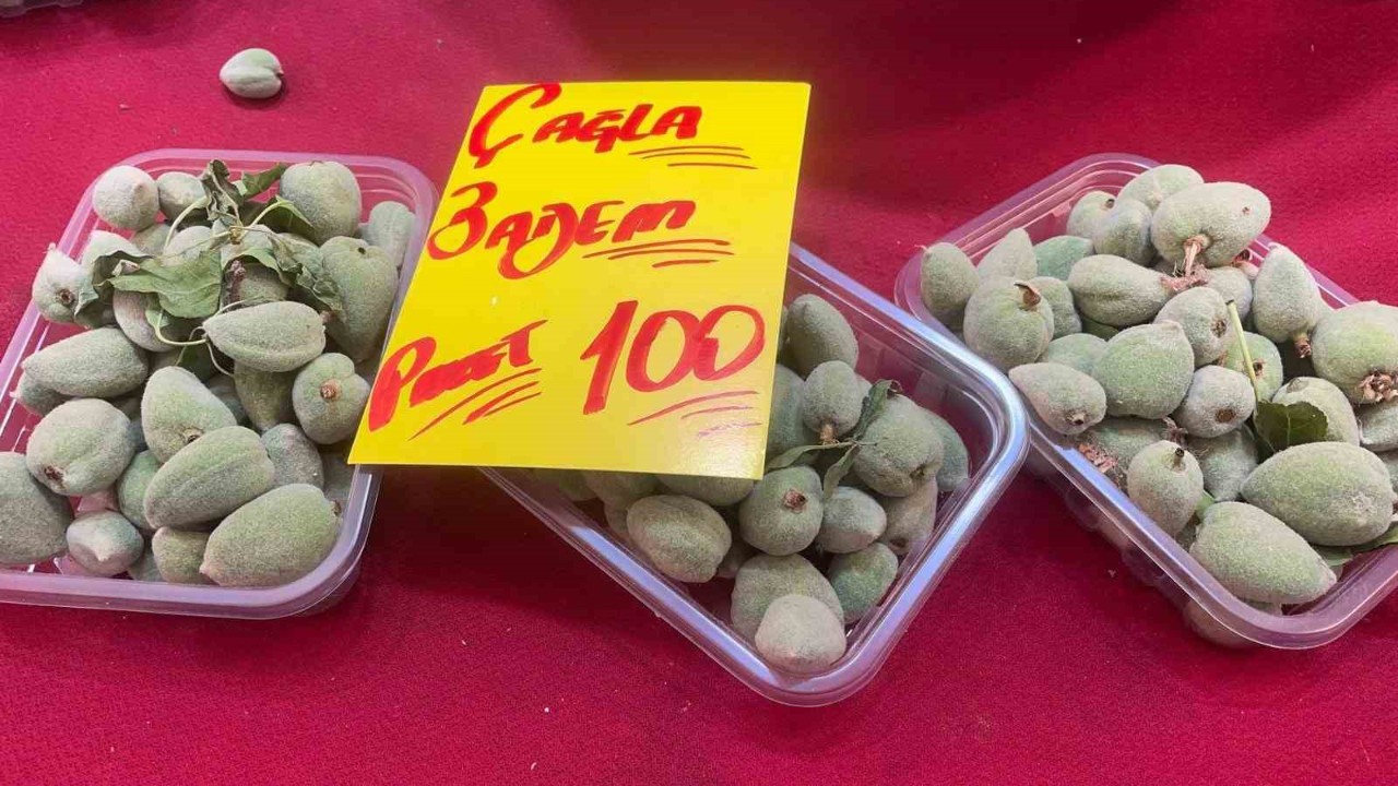 Bursa'nın Nilüfer ilçesinde üretiliyor! Fiyatı yüzde 60’a varan oranlarda düştü