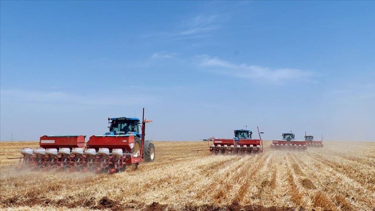 İş arayanlar dikkat! TİGEM 306 geçici işçi alacak
