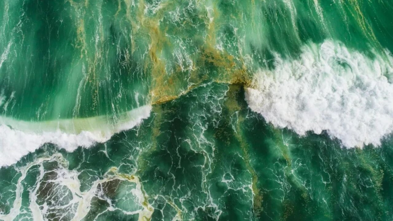 Araştırma: Dünya'nın okyanusları bir zamanlar yeşildi