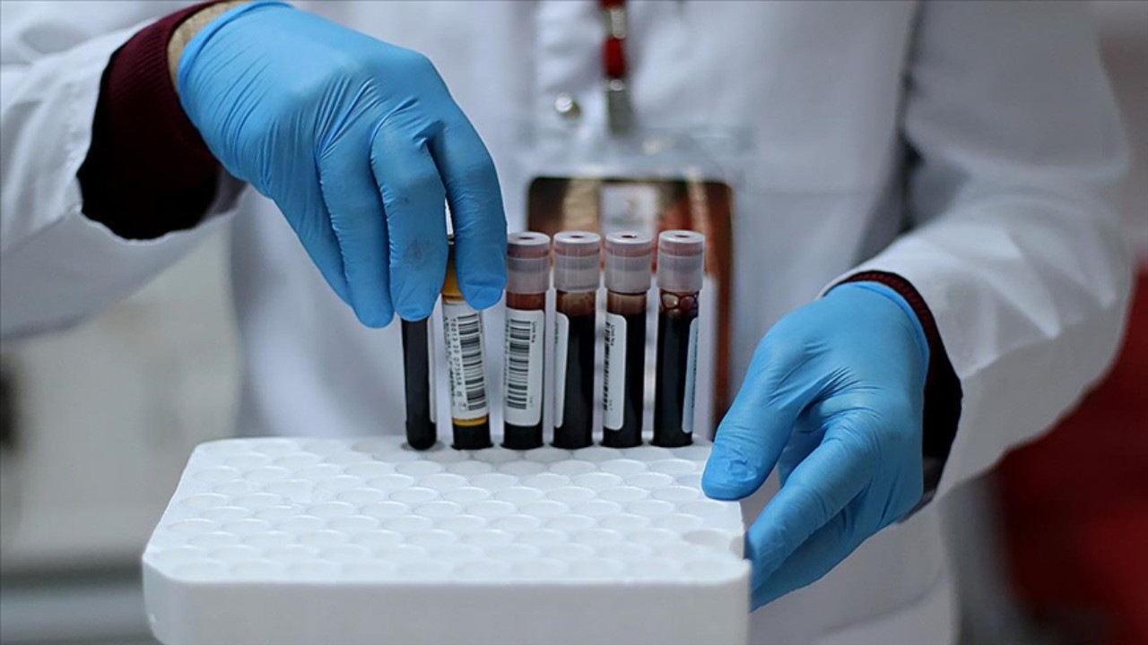 Kan grupları kişiliği belirliyor mu? İşte o analiz