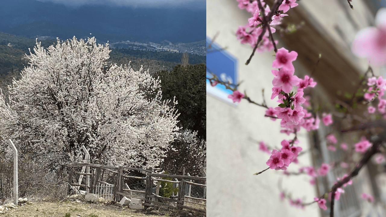 Meteorolojiden Burdur'a uyarı: Zirai don