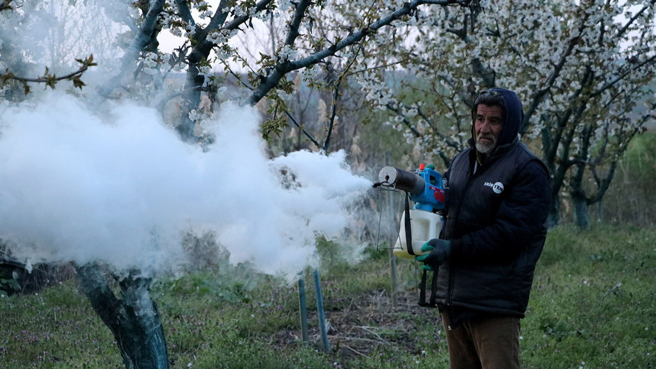 Üreticiler meyve ağaçlarını ‘don’dan korumak için nöbette!