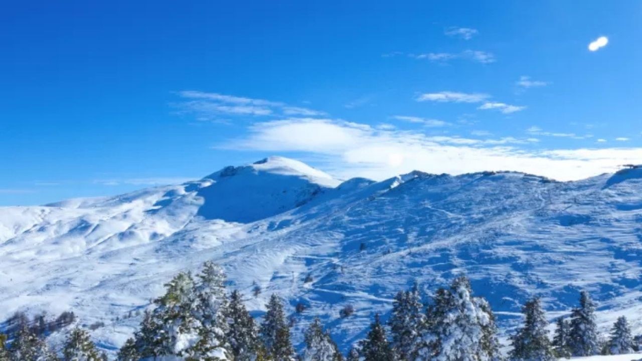 Bursa'da tarihi rekor kırıldı! Rakamlar yüzleri güldürdü