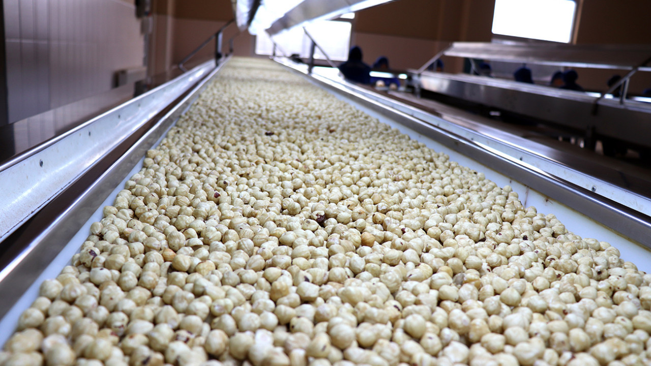 Fındıkta 2,5 milyar dolar ihracat geliri bekleniyor