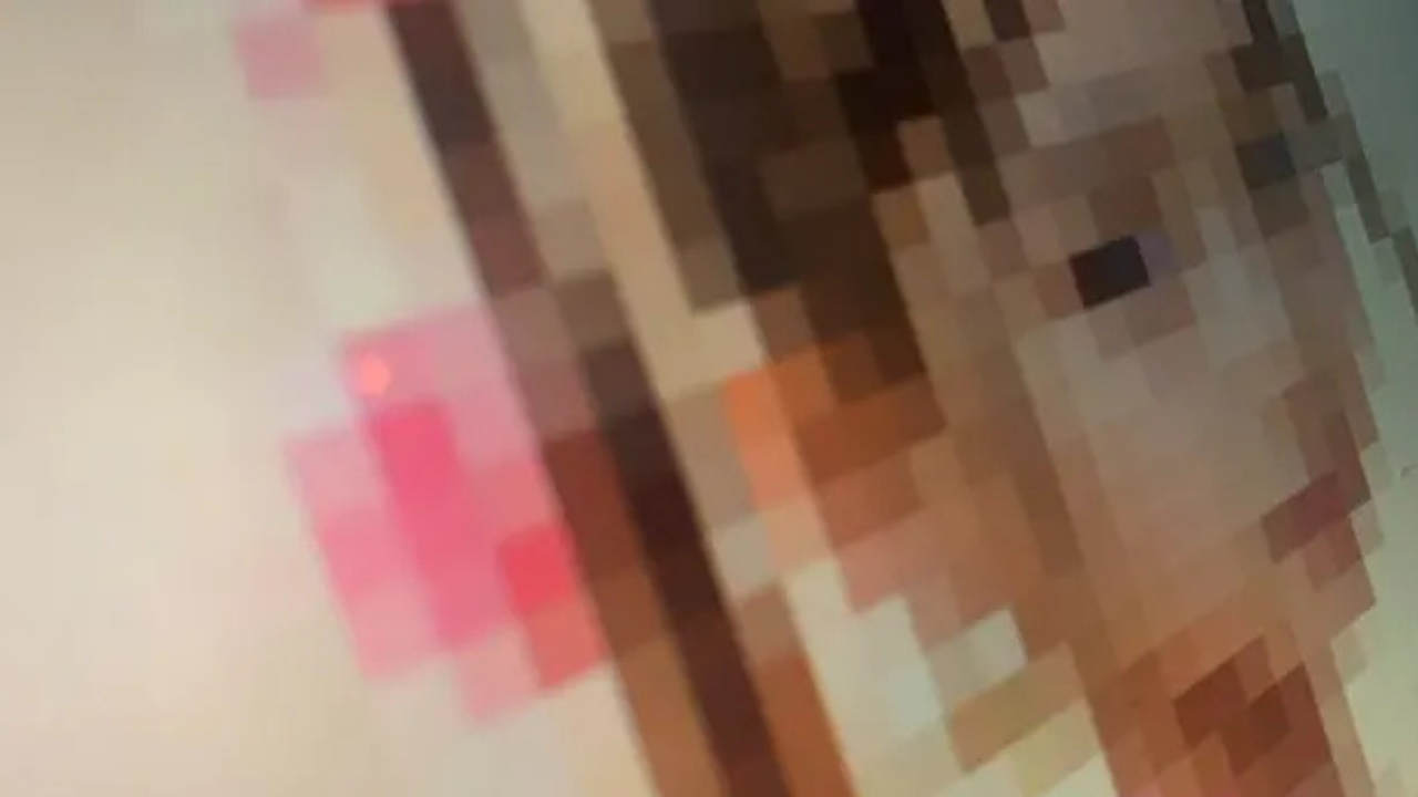 Yapay zekaya 'müstehcen' görsel hazırlatıp sattılar: 4 zanlı gözaltında