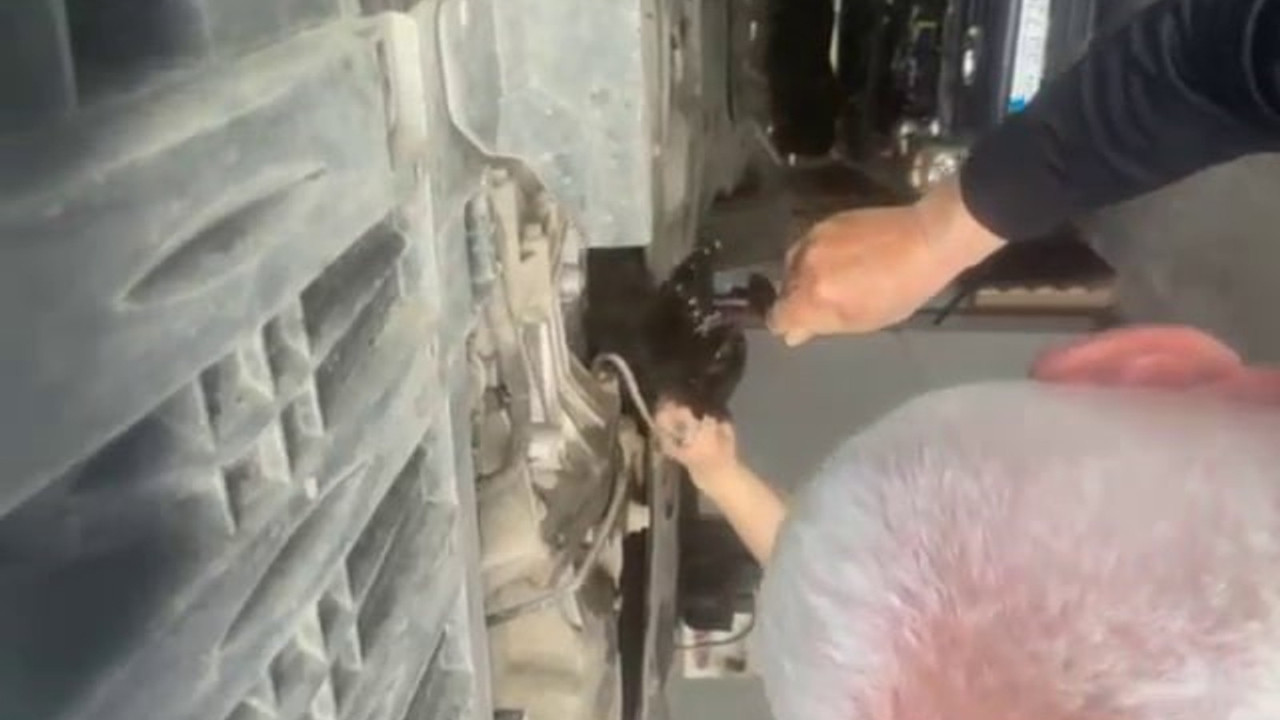 Otomobilin motoruna giren kediyi tamirci kurtardı