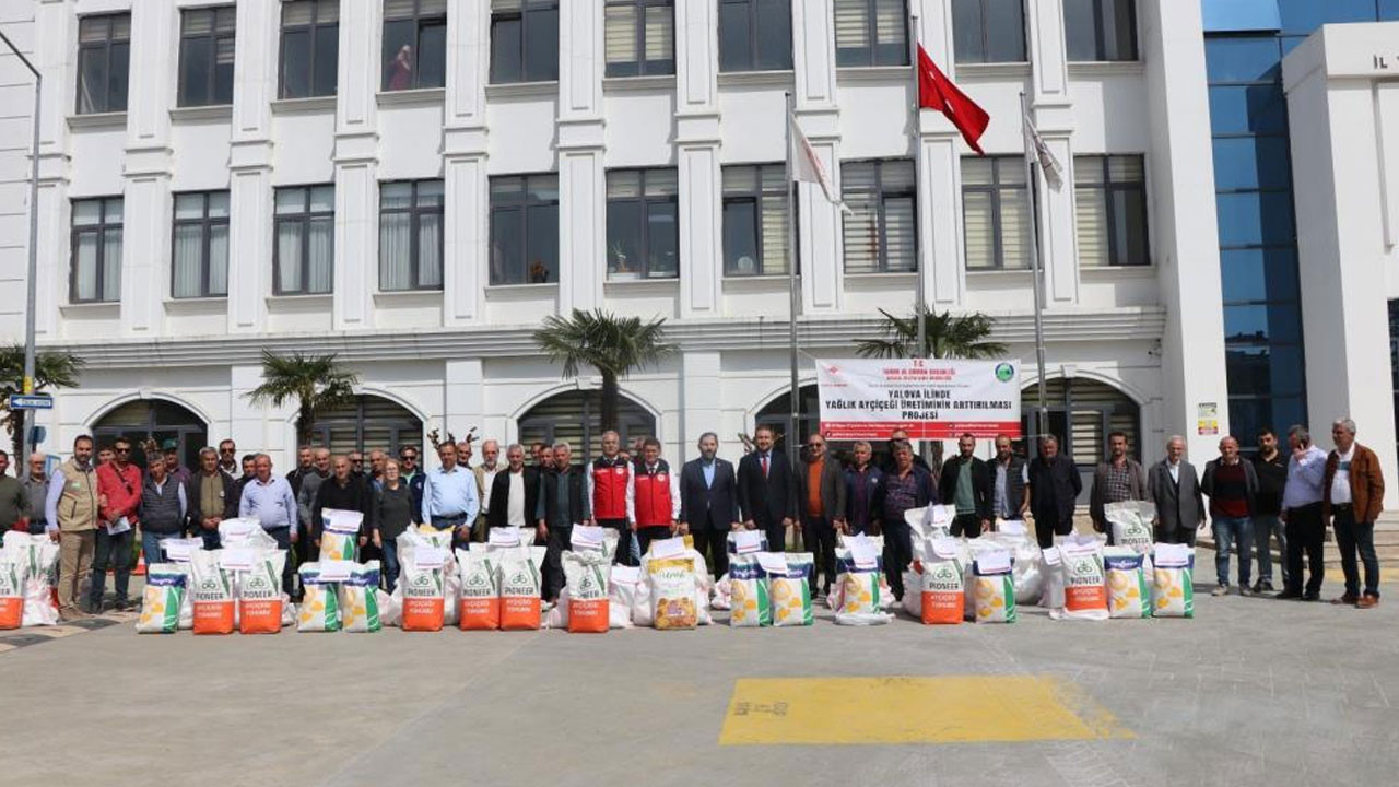 Yalova'da ücretsiz dağıtıldı! Tam 1 ton 890 kilo! Son dakika Yalova haberleri