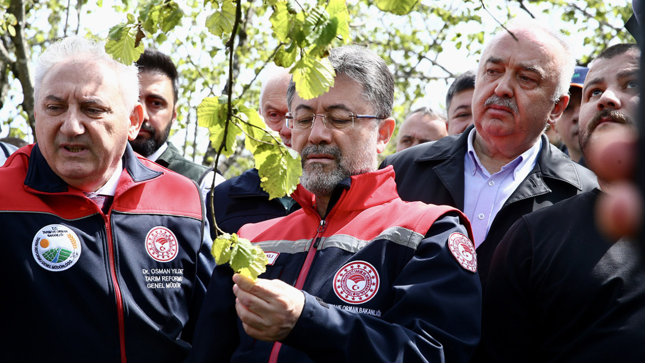 Bakan açıkladı: Tarihin en büyük don olaylarından biri!