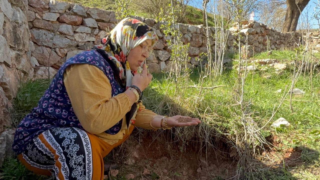 Derdi olan Tokat’a gidiyor! Bu türbenin toprağını yiyor