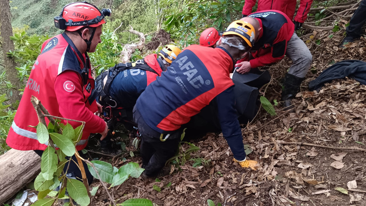 Muhtar kestiği ağacın altında kaldı! Hayatını kaybetti! Rize haberleri! Rize son dakika! Rize son haberleri