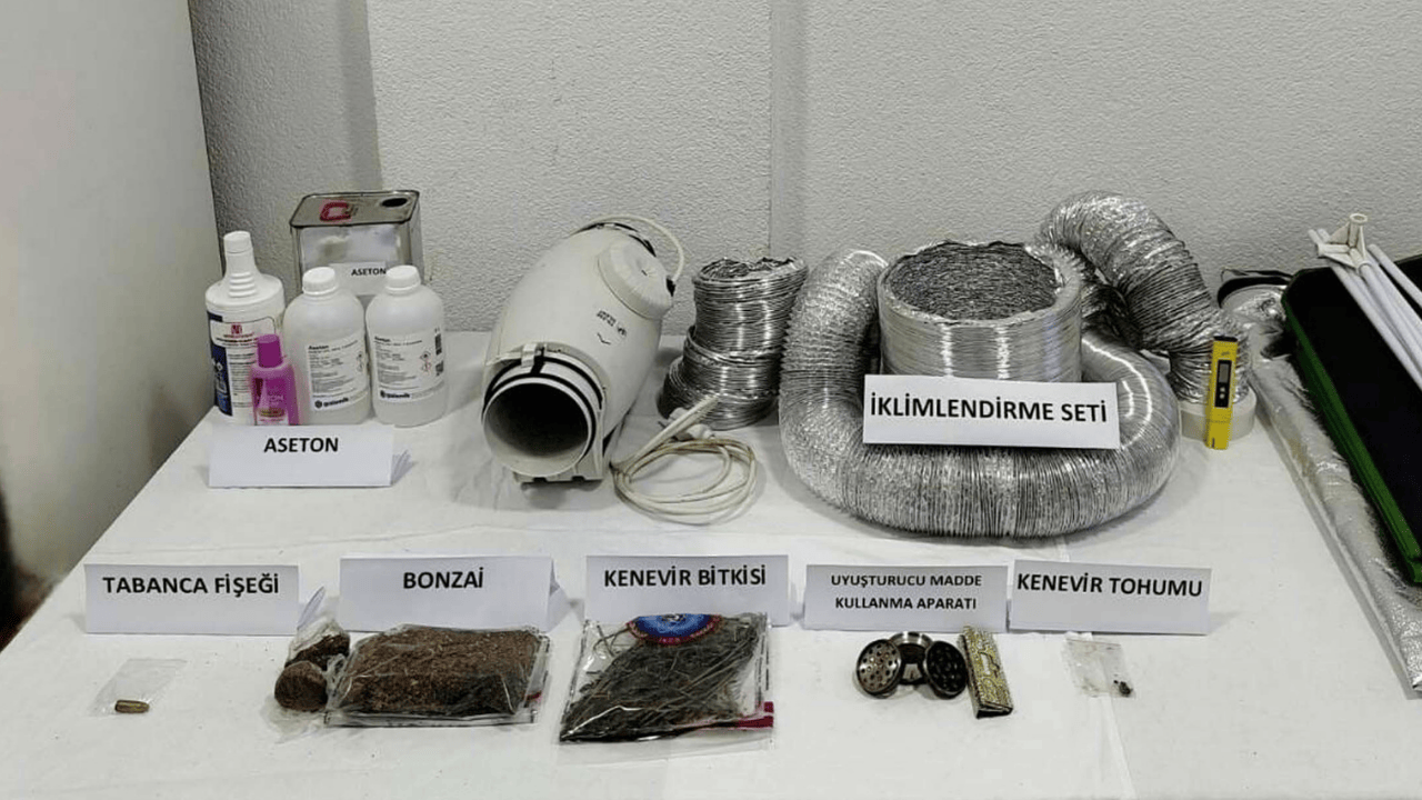 Bodrum'da uyuşturucu operasyonu: Bir gözaltı