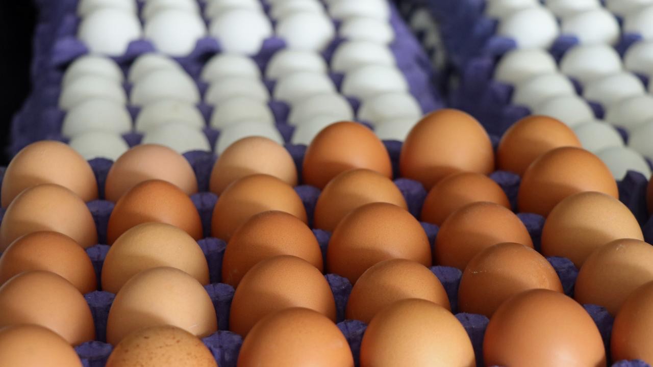 Yumurta fiyatları düşüyor! Yumurta fiyatları ne kadar