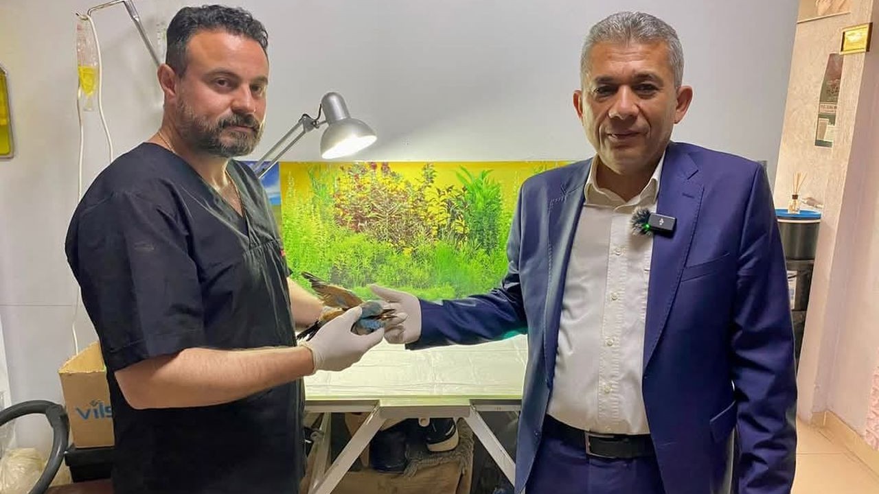 Gökkuzgunun Çal molası