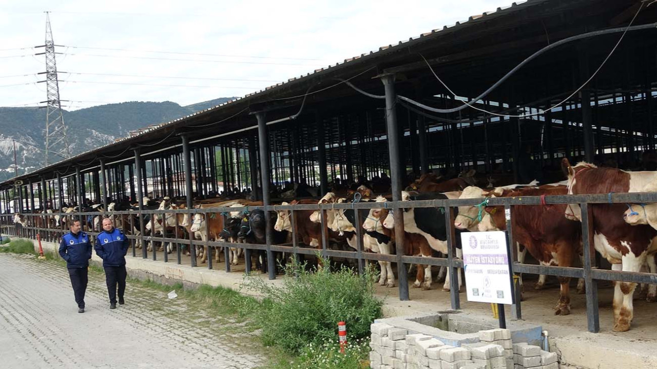 Kütahya'da yüzde 600 zam yapıldı! Kütahya haberleri