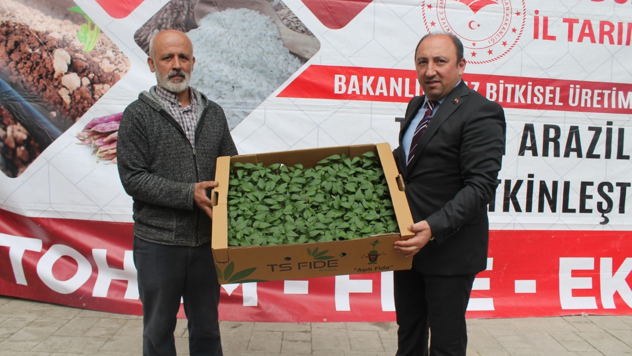 Düzce'de 1.5 milyon TL değerindeki fide ücretsiz dağıtıldı