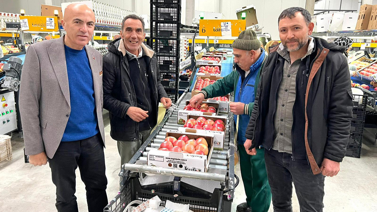 Elmanın merkezinde kayıp yüzde 90